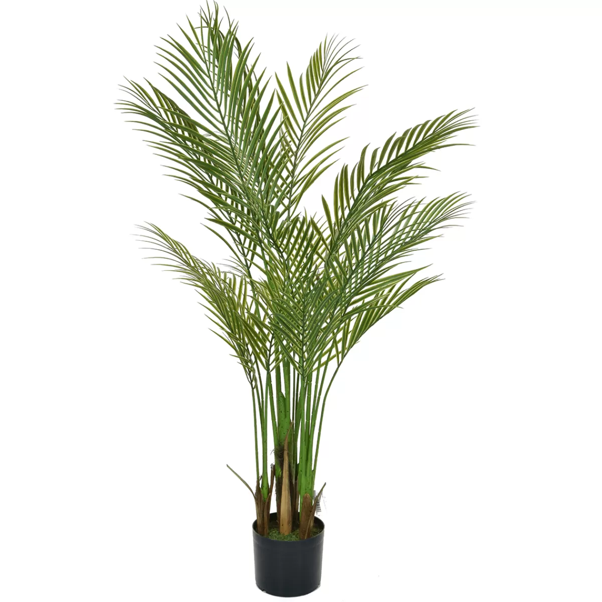 DecoWoerner Palmier Areca Artificiel En Pot Ignifugé 150 Cm