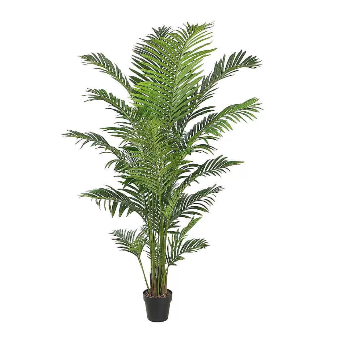 DecoWoerner Palmier Areca Artificiel Haut. 190 Cm