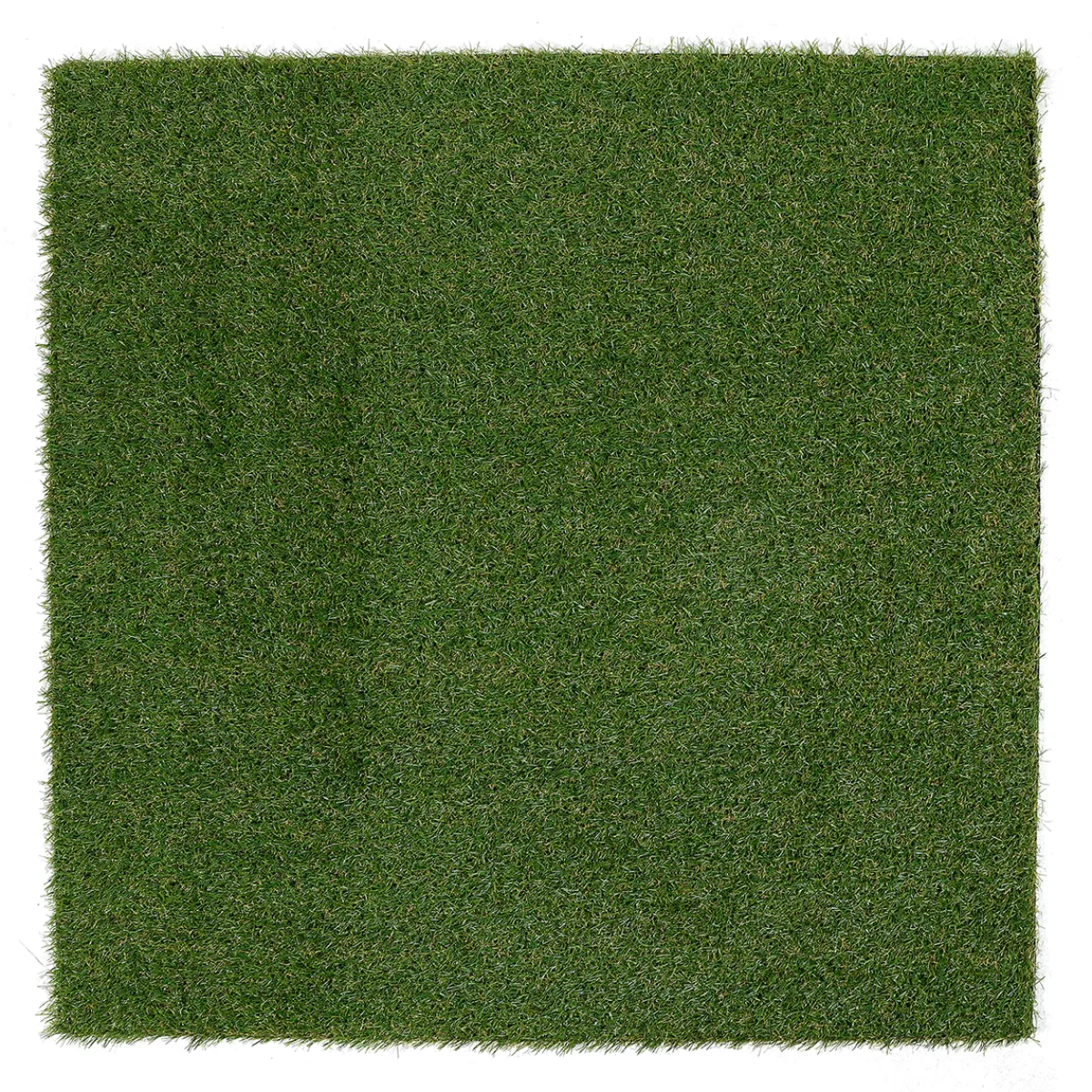 DecoWoerner Panneau D'herbe Artificielle 100 X 100 Cm