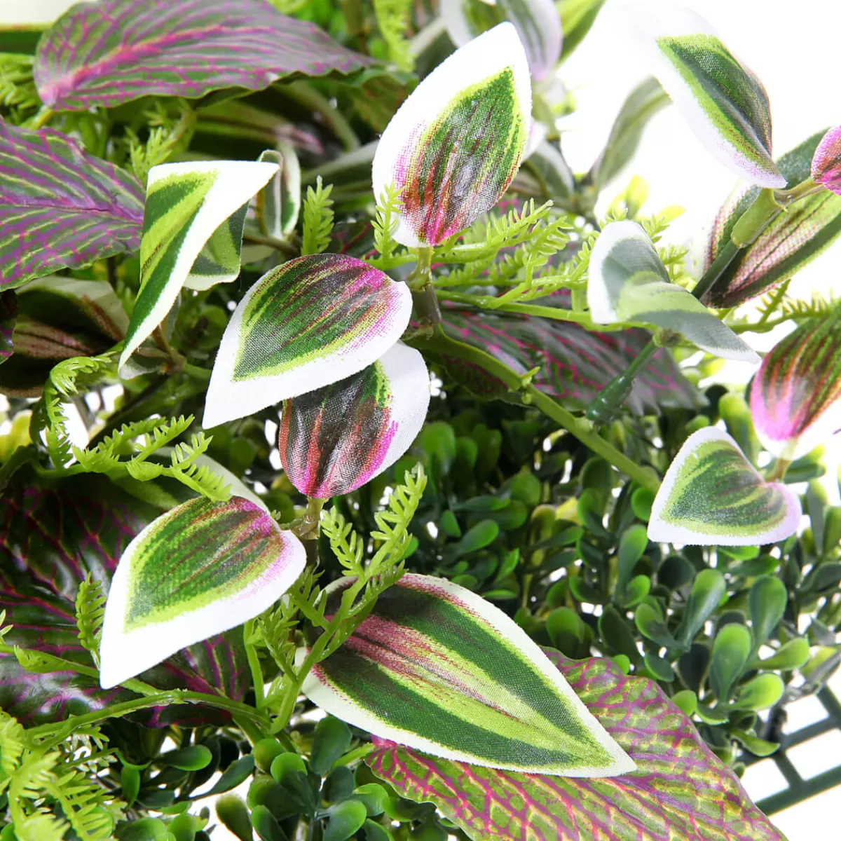 panneau_en_buisson_de_fittonia_artificiel_25_x_25_cm_4.webp DecoWoerner Panneau En Buisson De Fittonia Artificiel 25 X 25 Cm