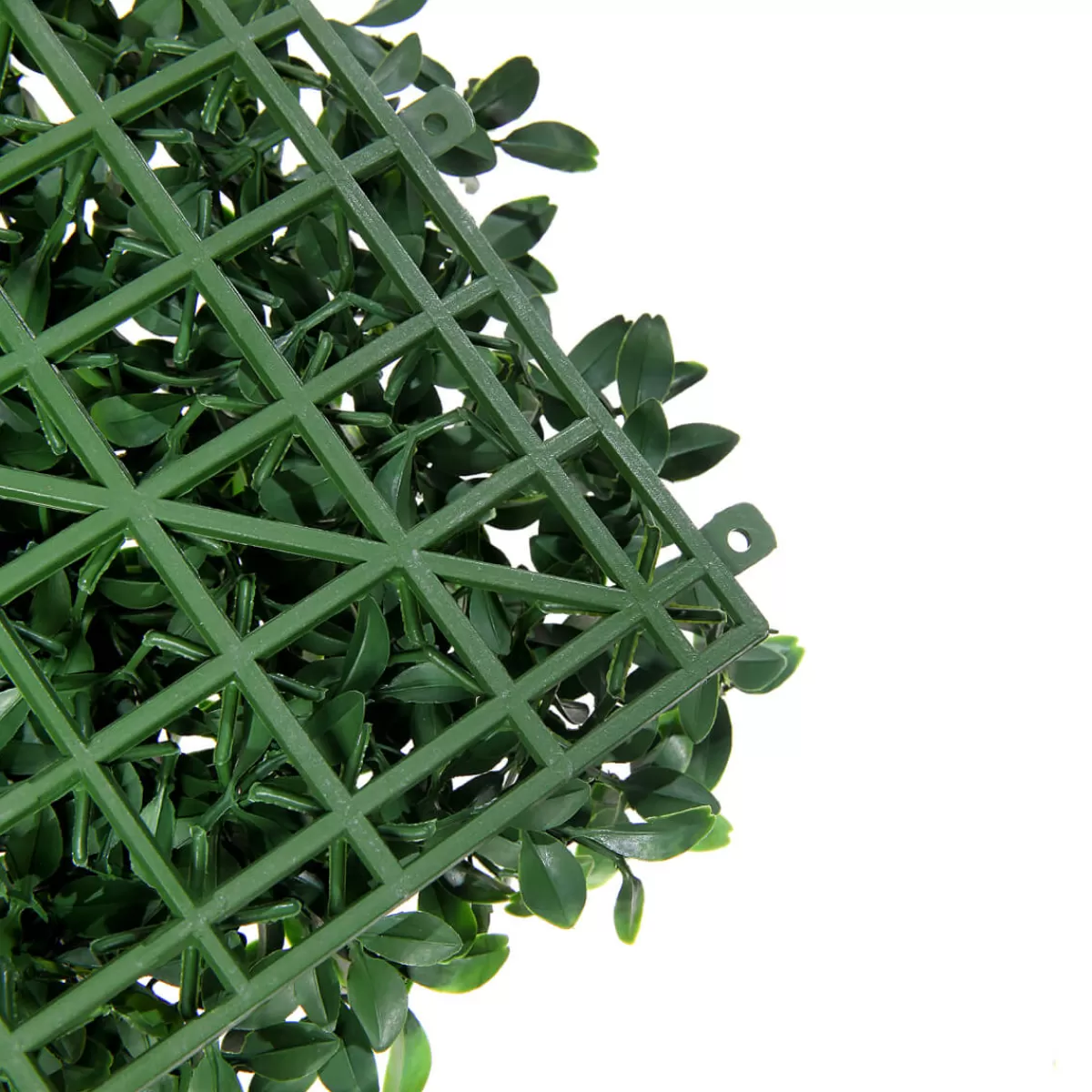 panneau_en_buisson_de_fittonia_artificiel_25_x_25_cm_6.webp DecoWoerner Panneau En Buisson De Fittonia Artificiel 25 X 25 Cm