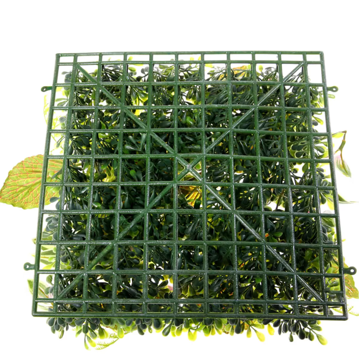 panneau_en_buisson_de_fittonia_artificiel_25_x_25_cm_8.webp DecoWoerner Panneau En Buisson De Fittonia Artificiel 25 X 25 Cm