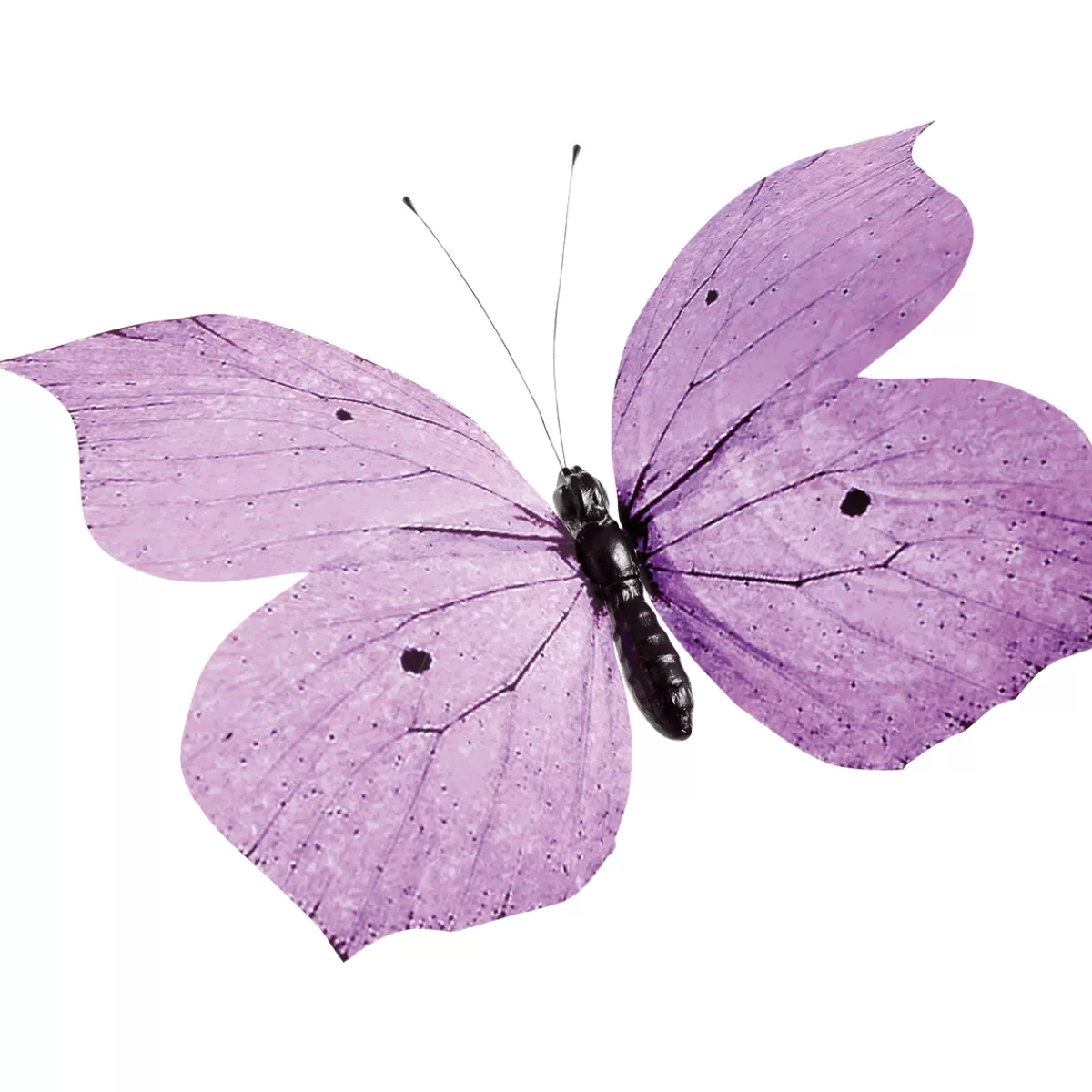 DecoWoerner Papillon Déco Mauve, 80 Cm