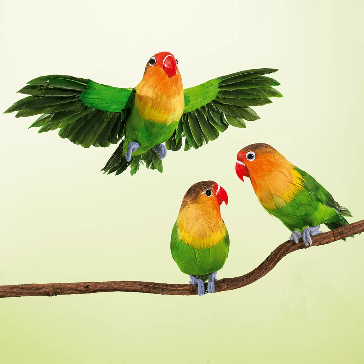 perroquet_dco_insparable_rosegorge_assis_20_cm_2_pces_7.webp DecoWoerner Perroquet Déco Inséparable Rosegorge Assis 20 Cm, 2 Pces