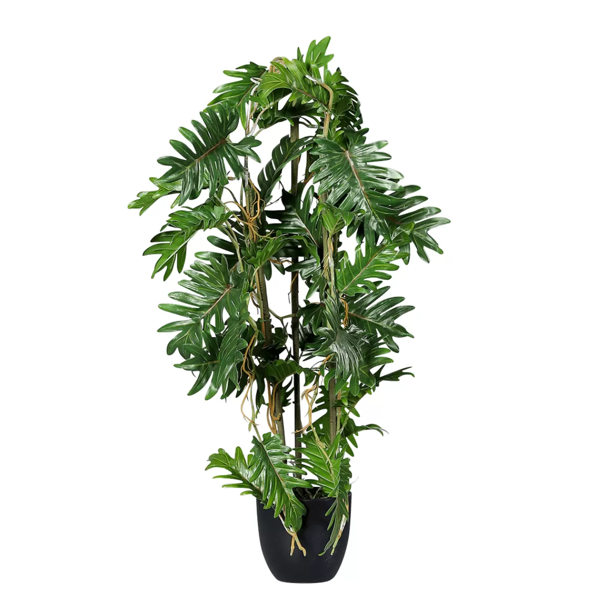 DecoWoerner Philodendron éclaté En Pot Noir