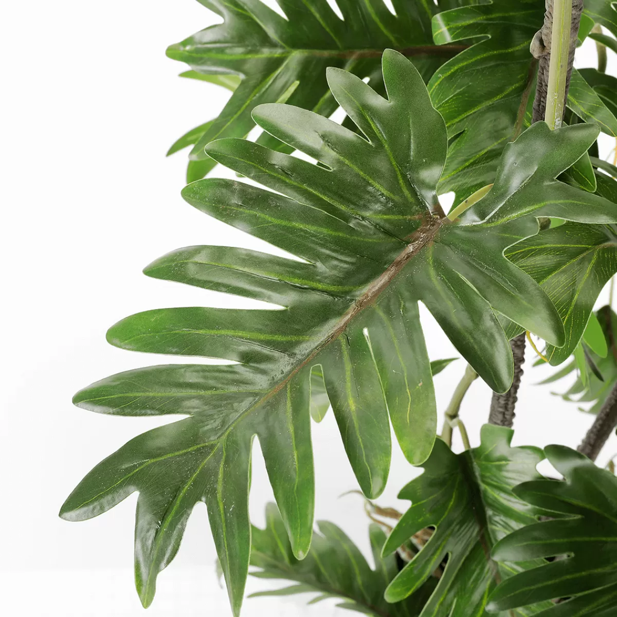 DecoWoerner Philodendron éclaté En Pot Noir