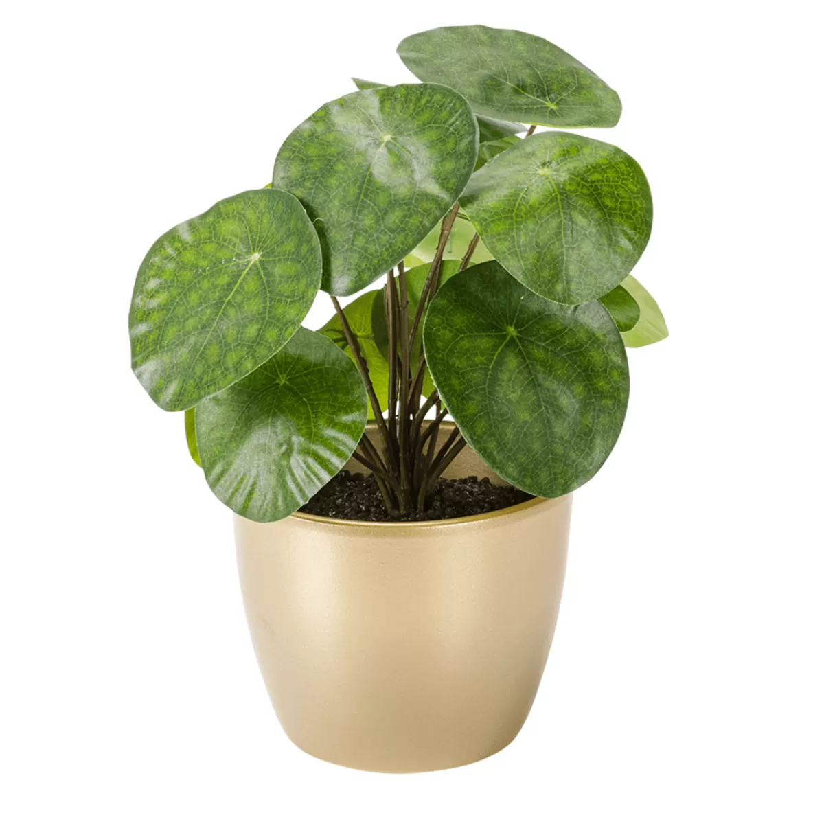 DecoWoerner Pilea Artificiel Décoratif En Pot ,Plante à Crêpes 25 Cm