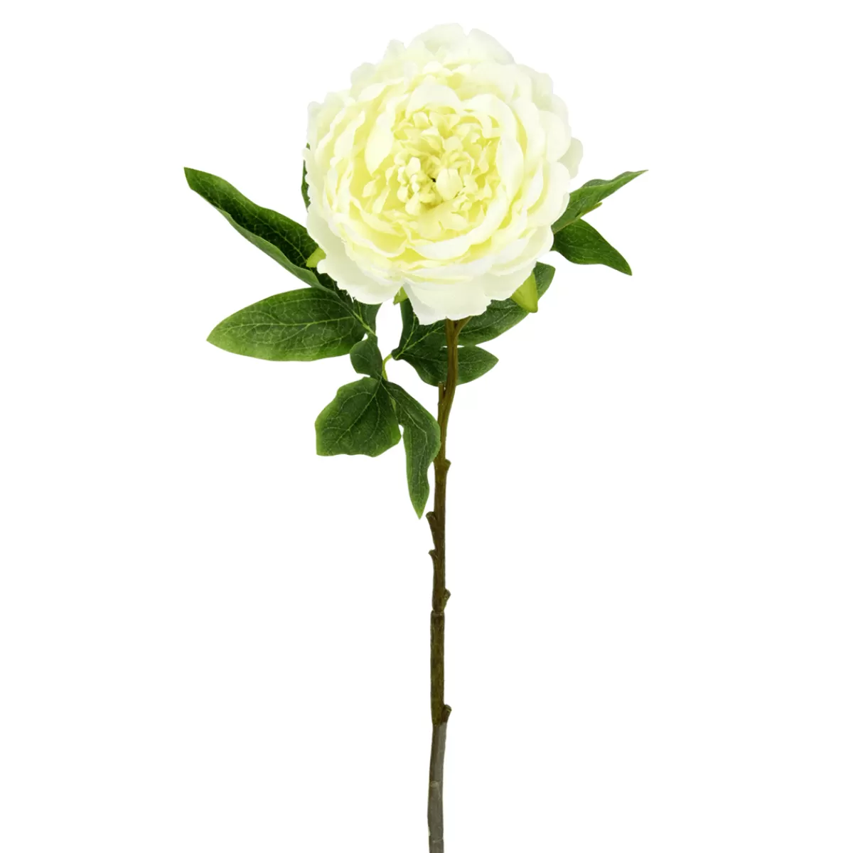 DecoWoerner Pivoine Artificielle, he 60 Cm