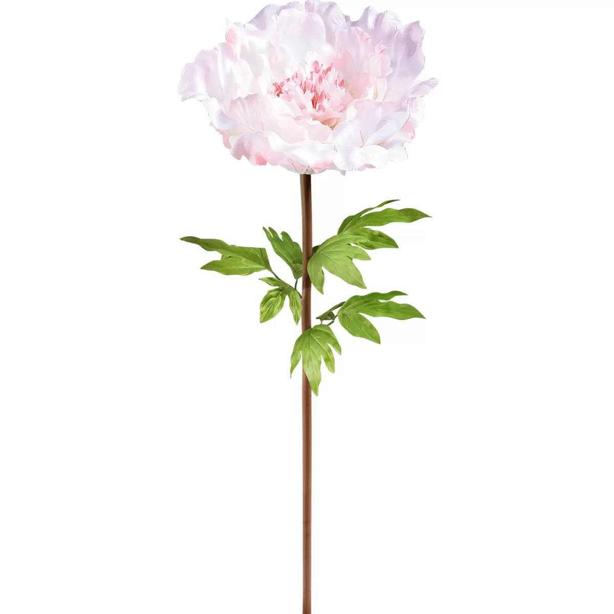 DecoWoerner Pivoine Géante 128 Cm