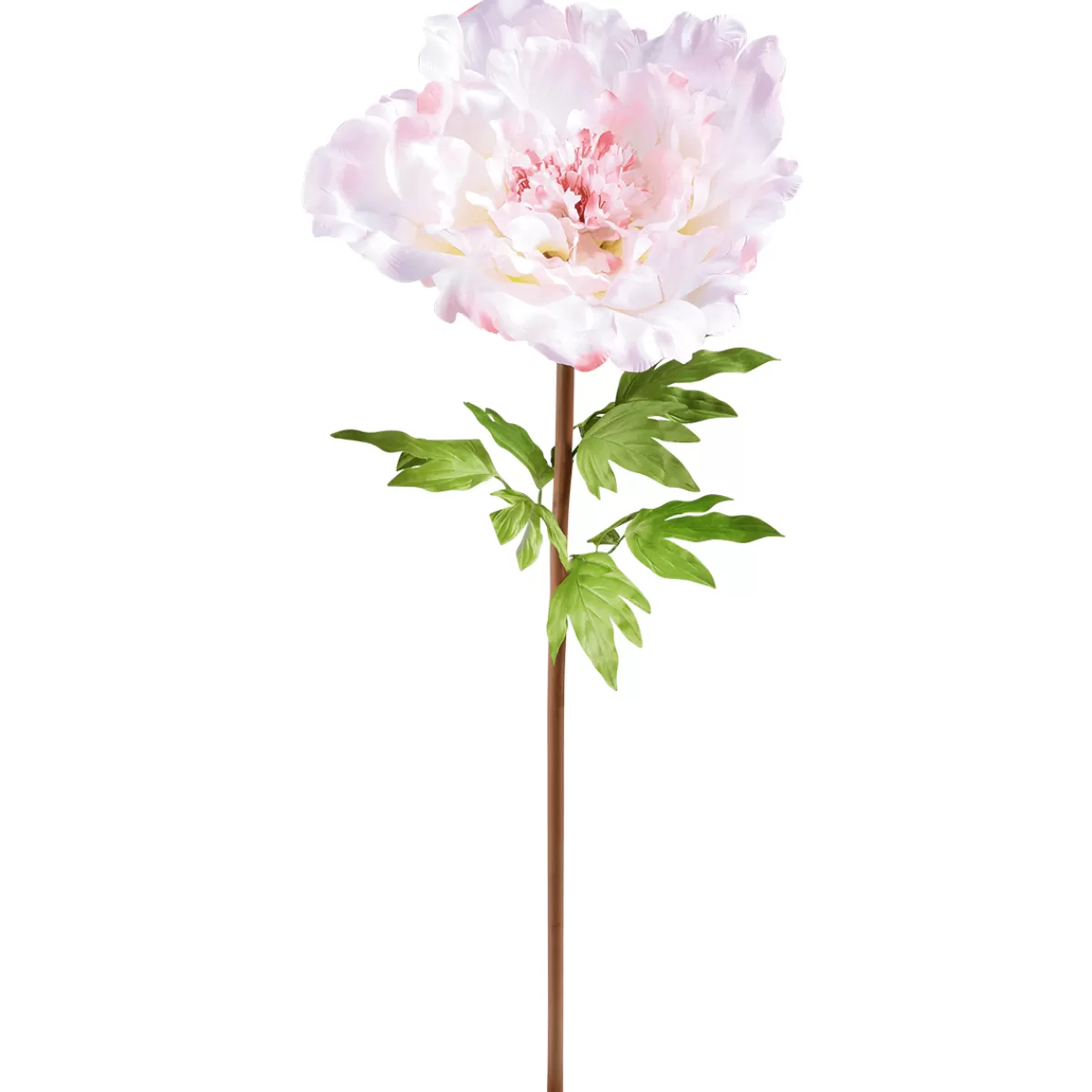 DecoWoerner Pivoine Géante 128 Cm