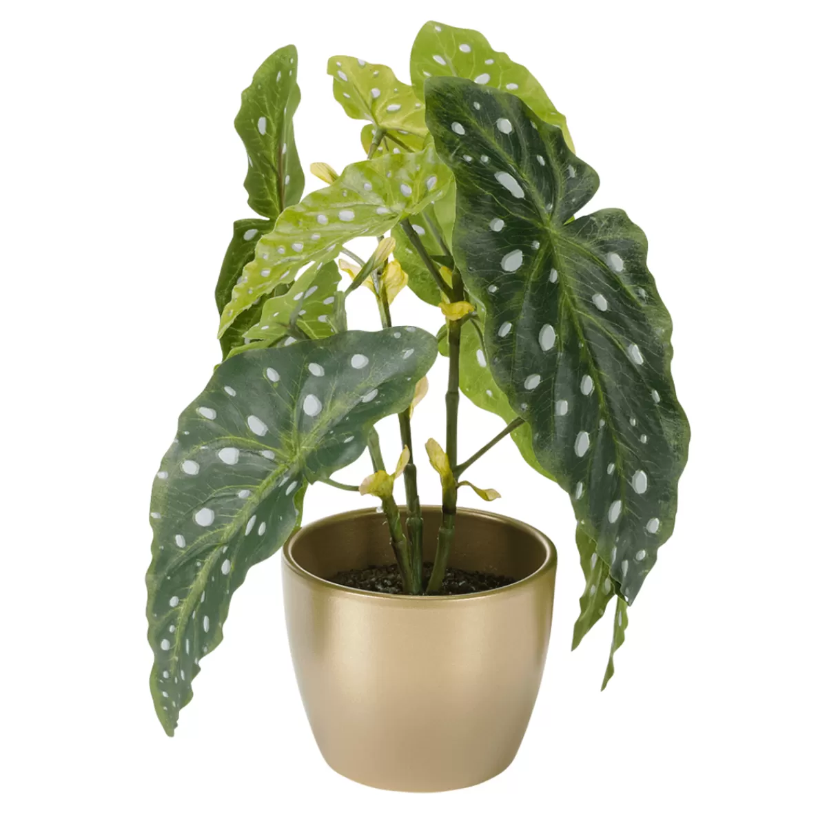 DecoWoerner Plante Artificielle Bégonia Truite 30 Cm