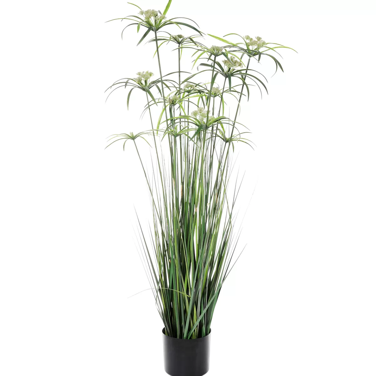 DecoWoerner Plante Artificielle De Papyrus En Pot 120 Cm