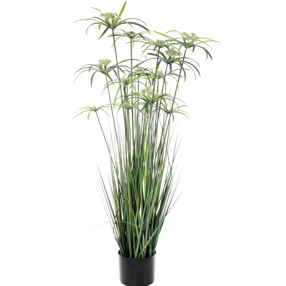 DecoWoerner Plante Artificielle De Papyrus En Pot 90 Cm