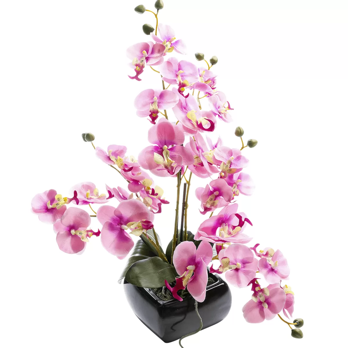 DecoWoerner Plante Artificielle Orchidée , 40 Cm