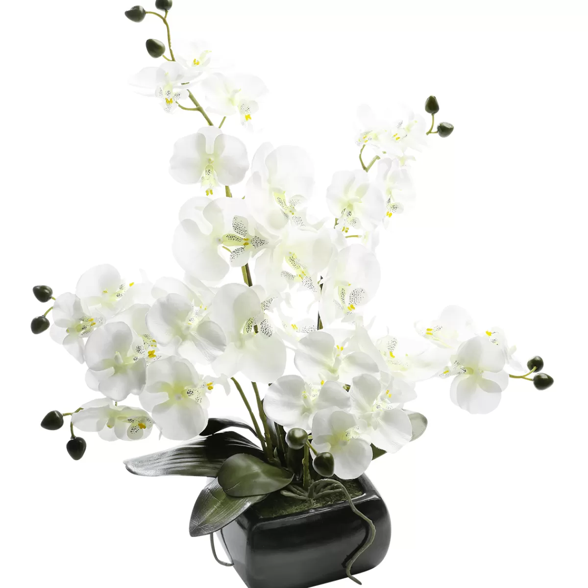 DecoWoerner Plante Artificielle Orchidée he, 40 Cm