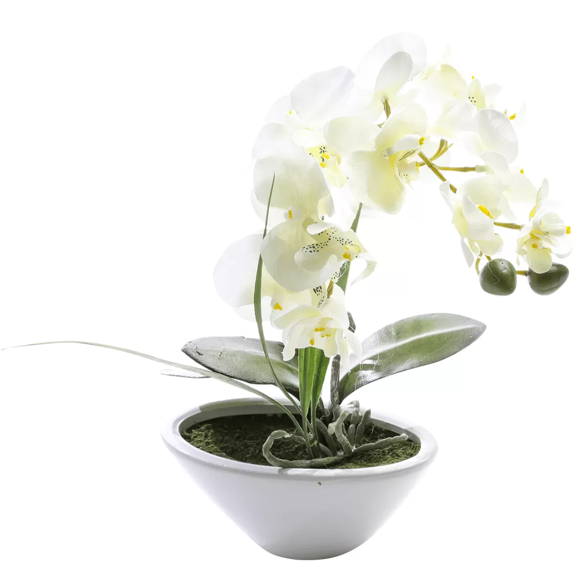 DecoWoerner Plante Artificielle Orchidée En Pot, 28 Cm