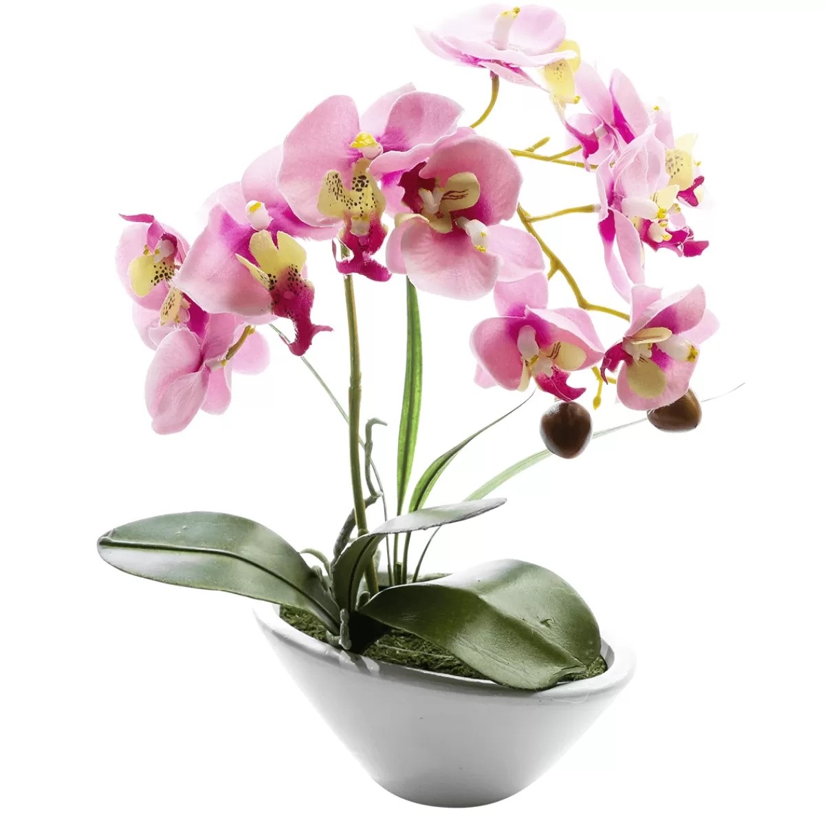 DecoWoerner Plante Artificielle Orchidée En Pot , 28 Cm