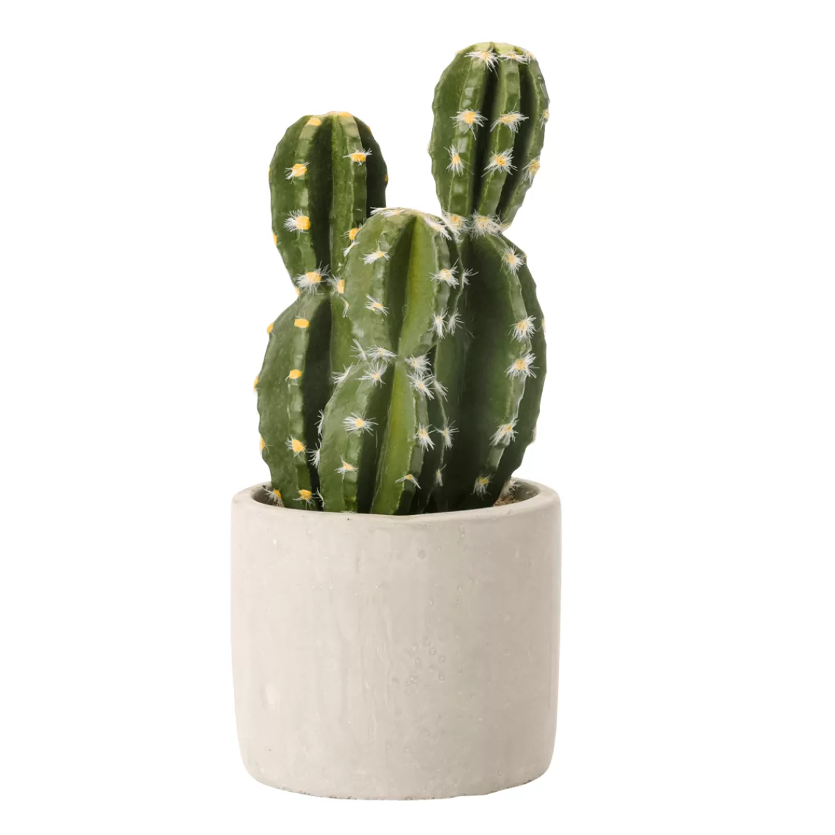 DecoWoerner Plante De Cactus Artificielle En Pot 23 Cm