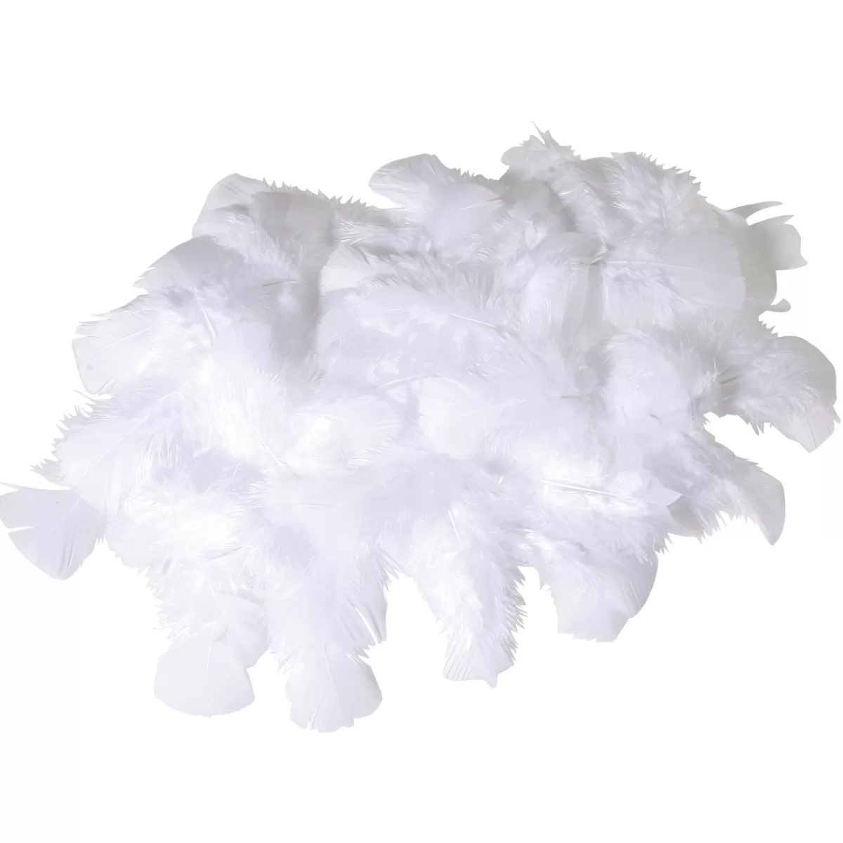 DecoWoerner Plumes Déco hes, 20 G