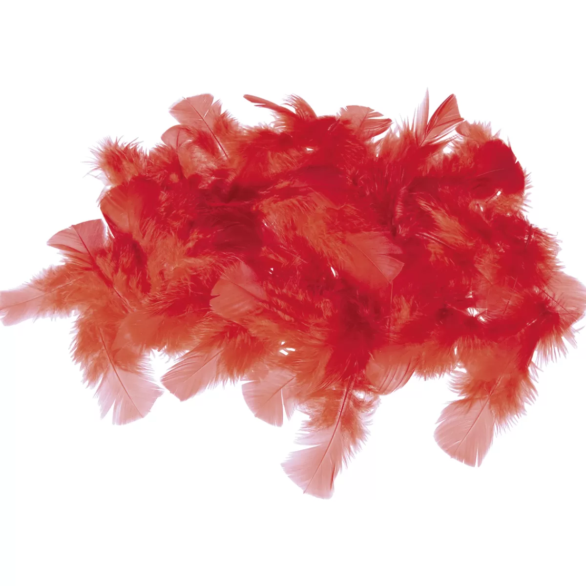 DecoWoerner Plumes Déco s, 20 G