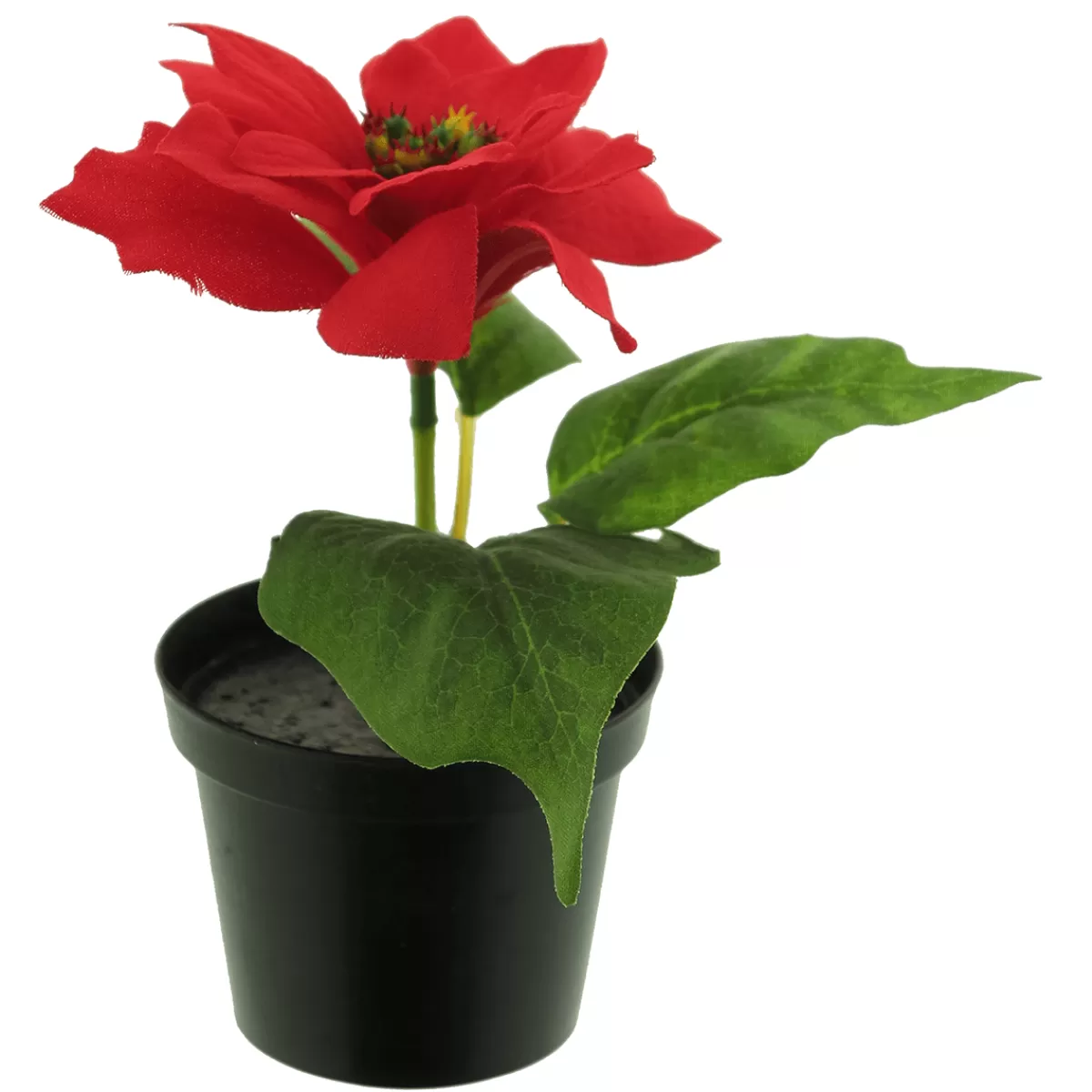 DecoWoerner Poinsettia Artificiel En Pot 15 Cm