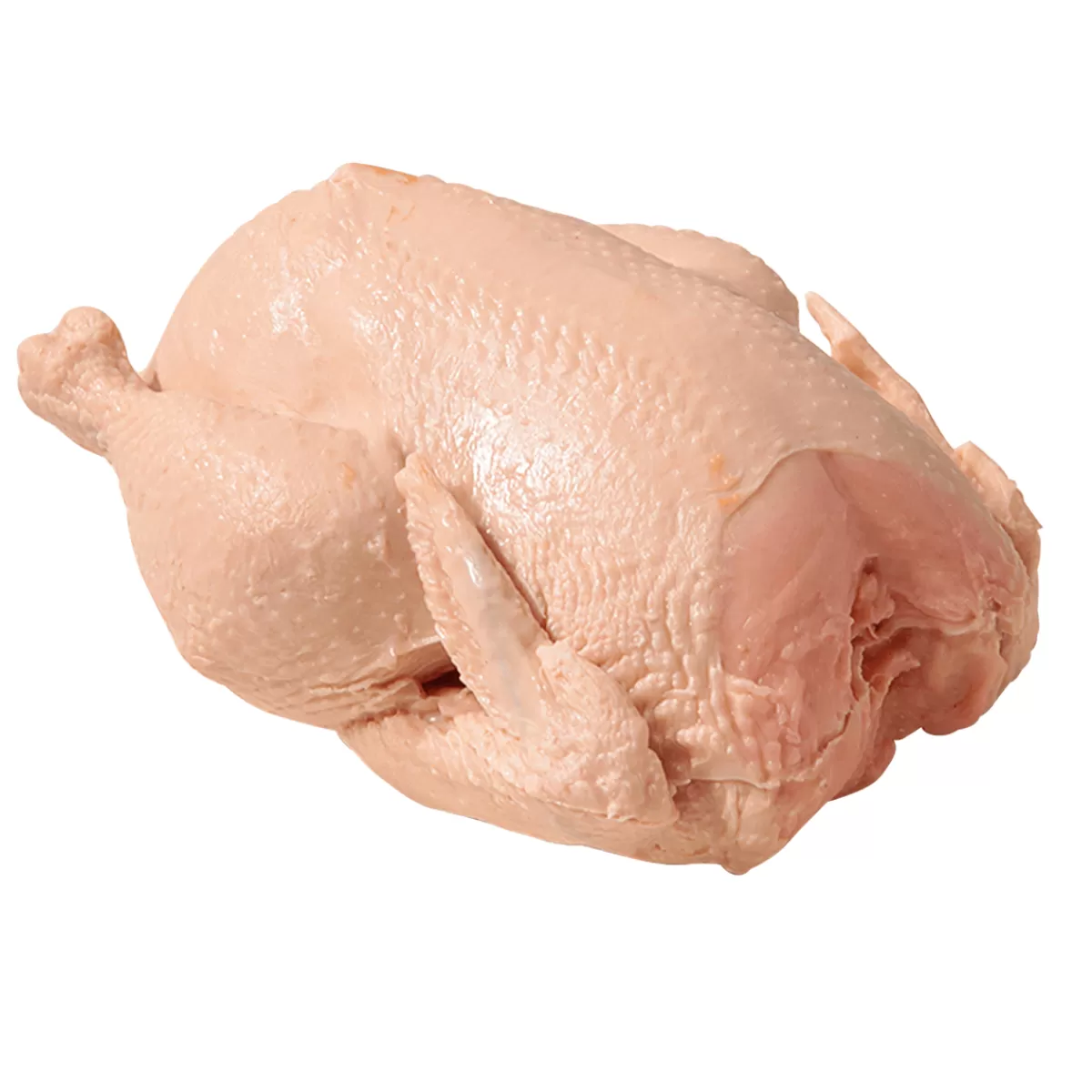 DecoWoerner Poulet Cru Alimentaire Factice 23 Cm