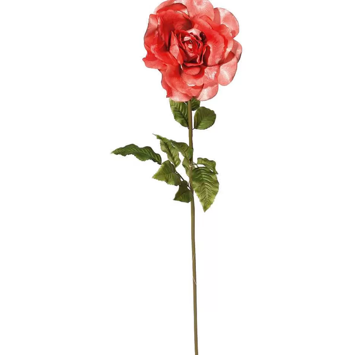 DecoWoerner Rose Artificielle, Abricot 116 Cm