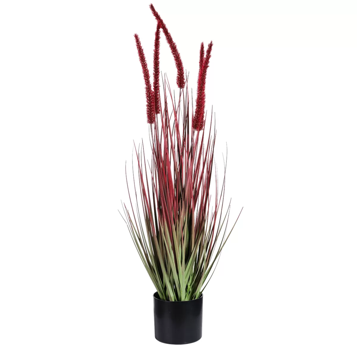 DecoWoerner Roseau Artificiel En Pot Haut. 67 Cm