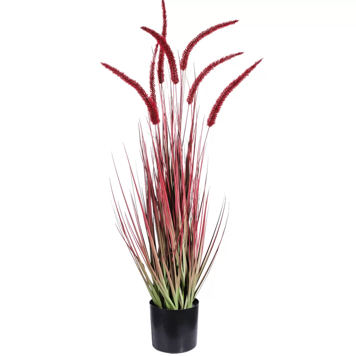 DecoWoerner Roseau Artificiel En Pot Haut. 90 Cm