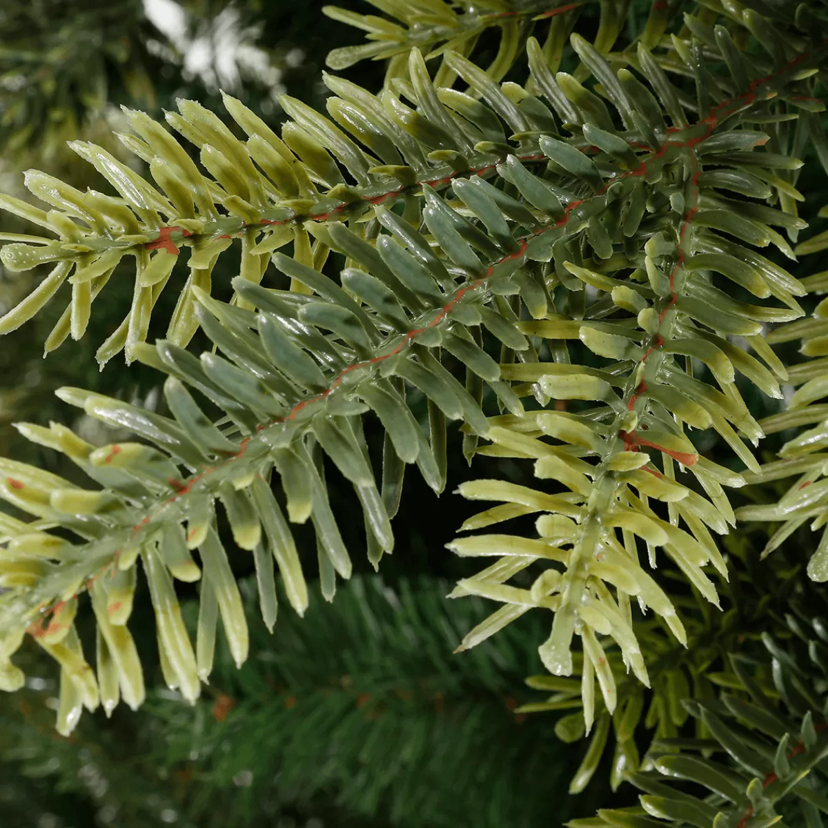 DecoWoerner Sapin Artificiel Colorado 1,8 M