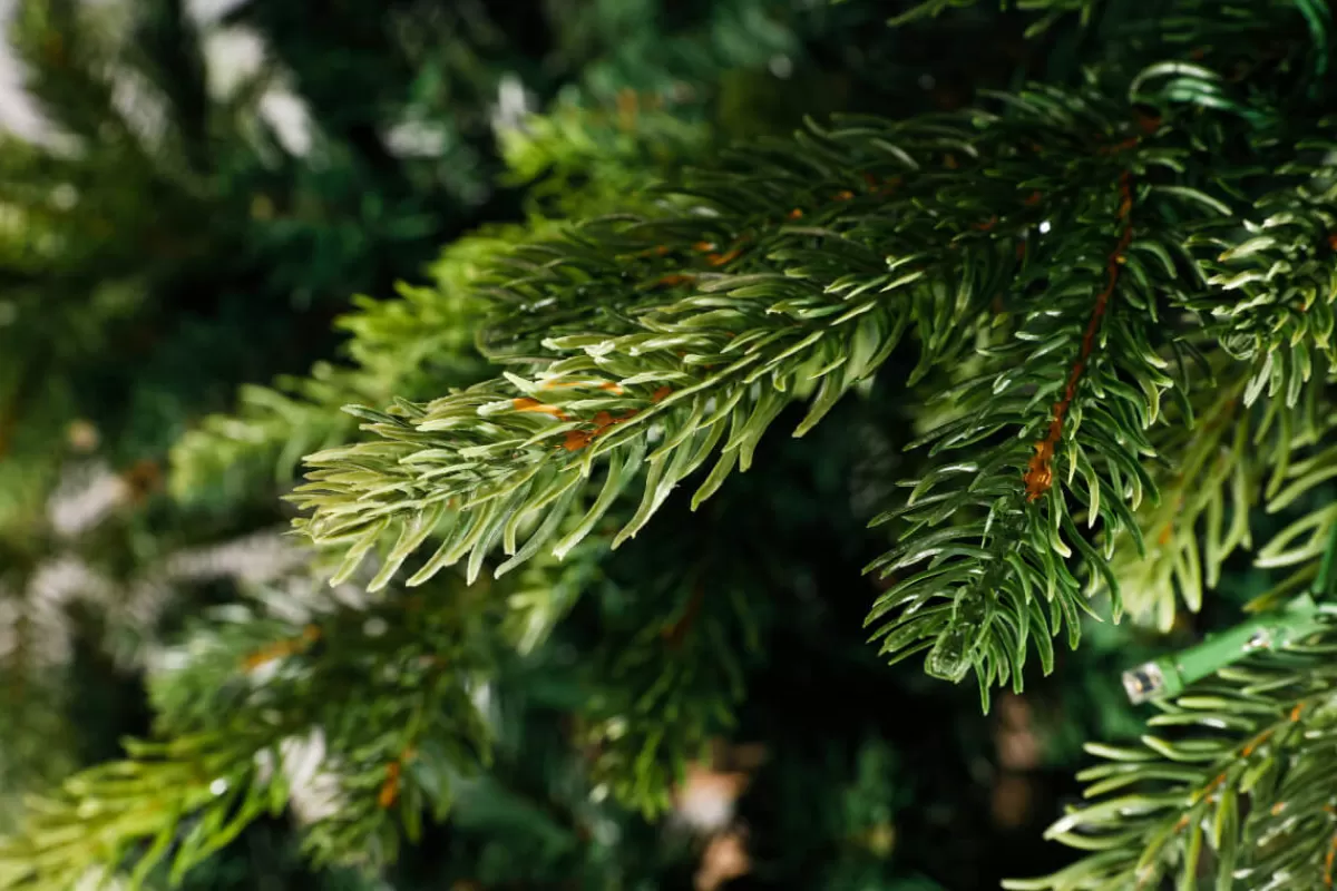 DecoWoerner Sapin De Noël Artificiel Moulé Par Injection Rottanne 180 Cm