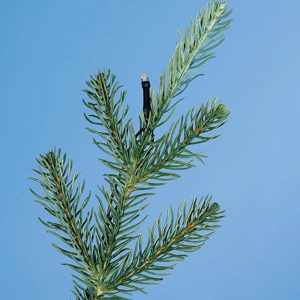 DecoWoerner Sapin De Noël Artificiel Moulé Par Injection Rottanne Avec LED 180 Cm