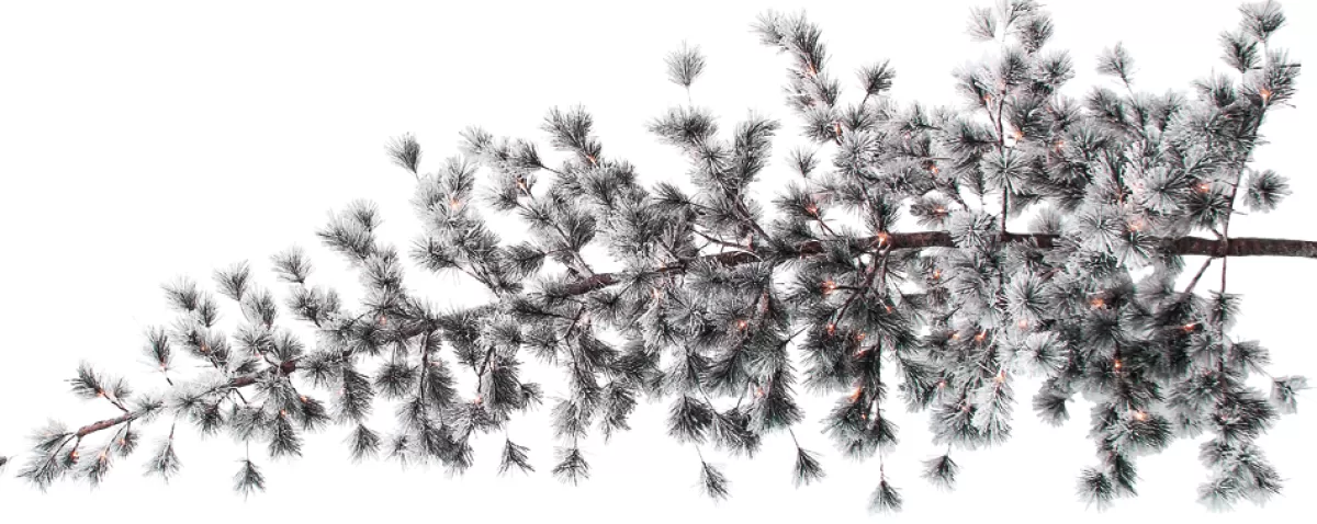 sapin_de_nol_artificiel_suspendu_pin_avec_aiguilles_givres_et_led_300_cm_3-1.webp DecoWoerner Sapin De Noël Artificiel Suspendu Pin Avec Aiguilles Givrées Et LED 300 Cm