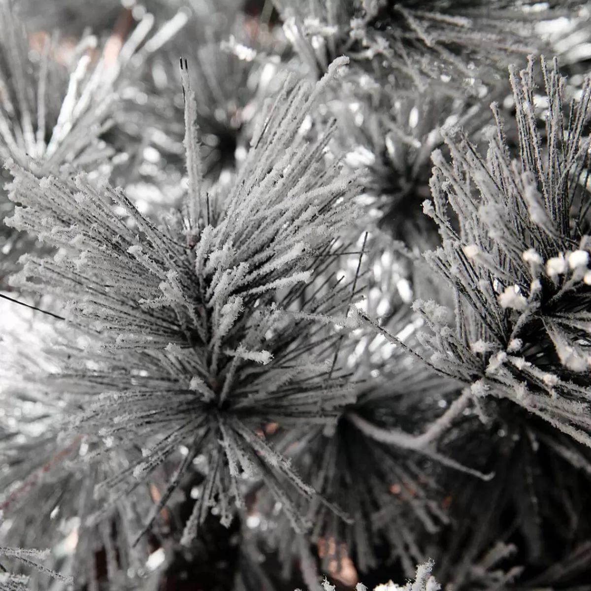 sapin_de_nol_artificiel_suspendu_pin_avec_aiguilles_givres_et_led_300_cm_5-1.webp DecoWoerner Sapin De Noël Artificiel Suspendu Pin Avec Aiguilles Givrées Et LED 300 Cm