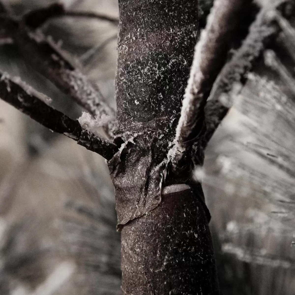 sapin_de_nol_artificiel_suspendu_pin_avec_aiguilles_givres_et_led_300_cm_6-1.webp DecoWoerner Sapin De Noël Artificiel Suspendu Pin Avec Aiguilles Givrées Et LED 300 Cm