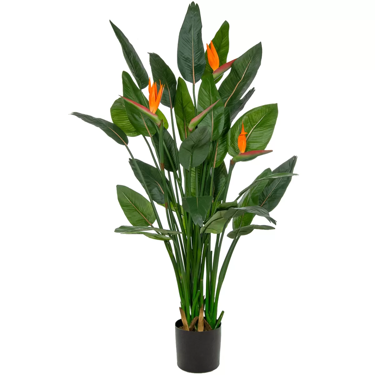 DecoWoerner Strelizie Plante Artificielle Avec Fleurs En Pot 150 Cm