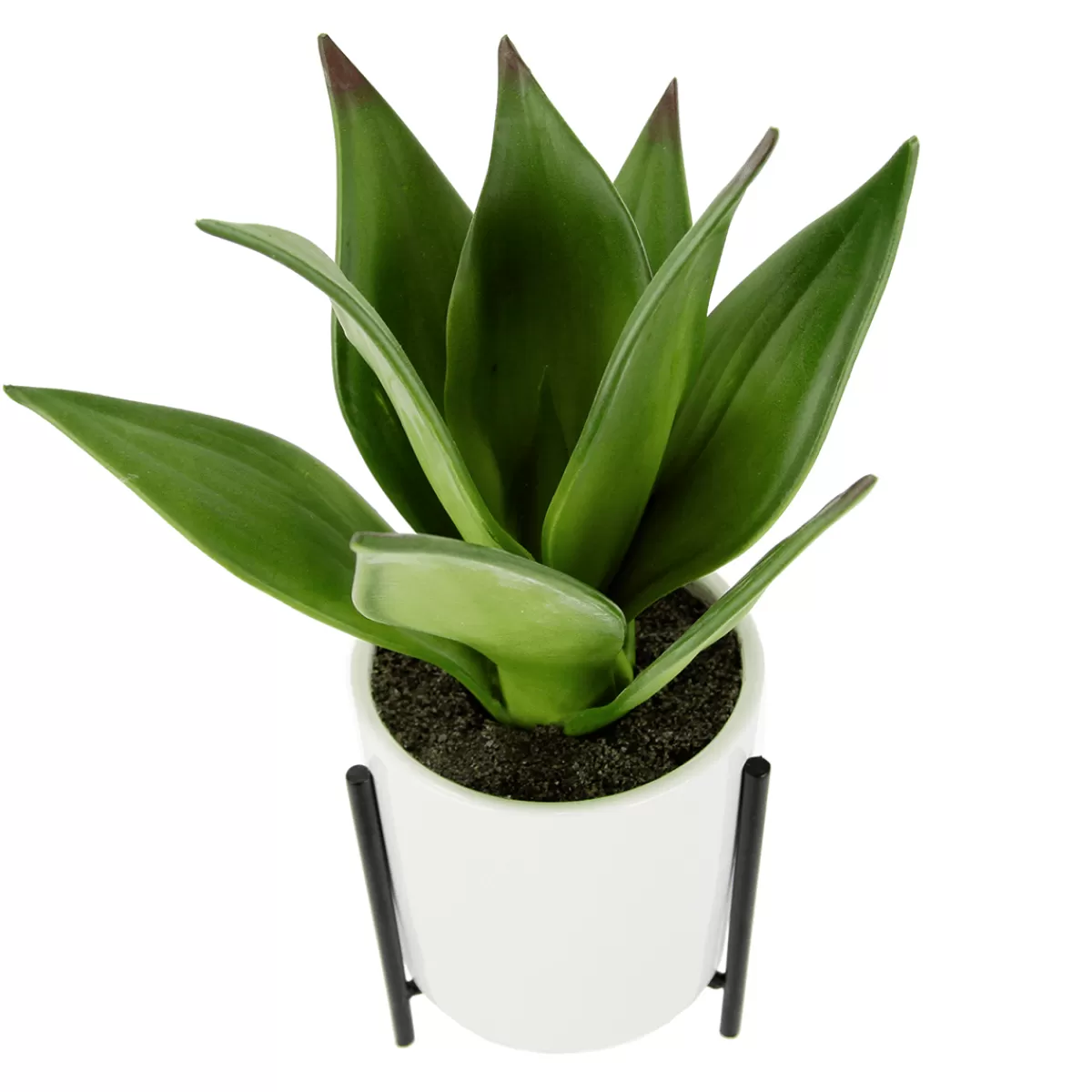 DecoWoerner Succulente Artificielle En Pot Blanc 27 Cm