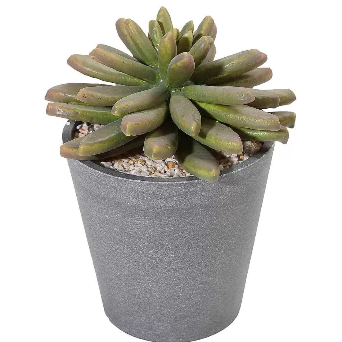 DecoWoerner Succulentes Artificielles 20 Cm