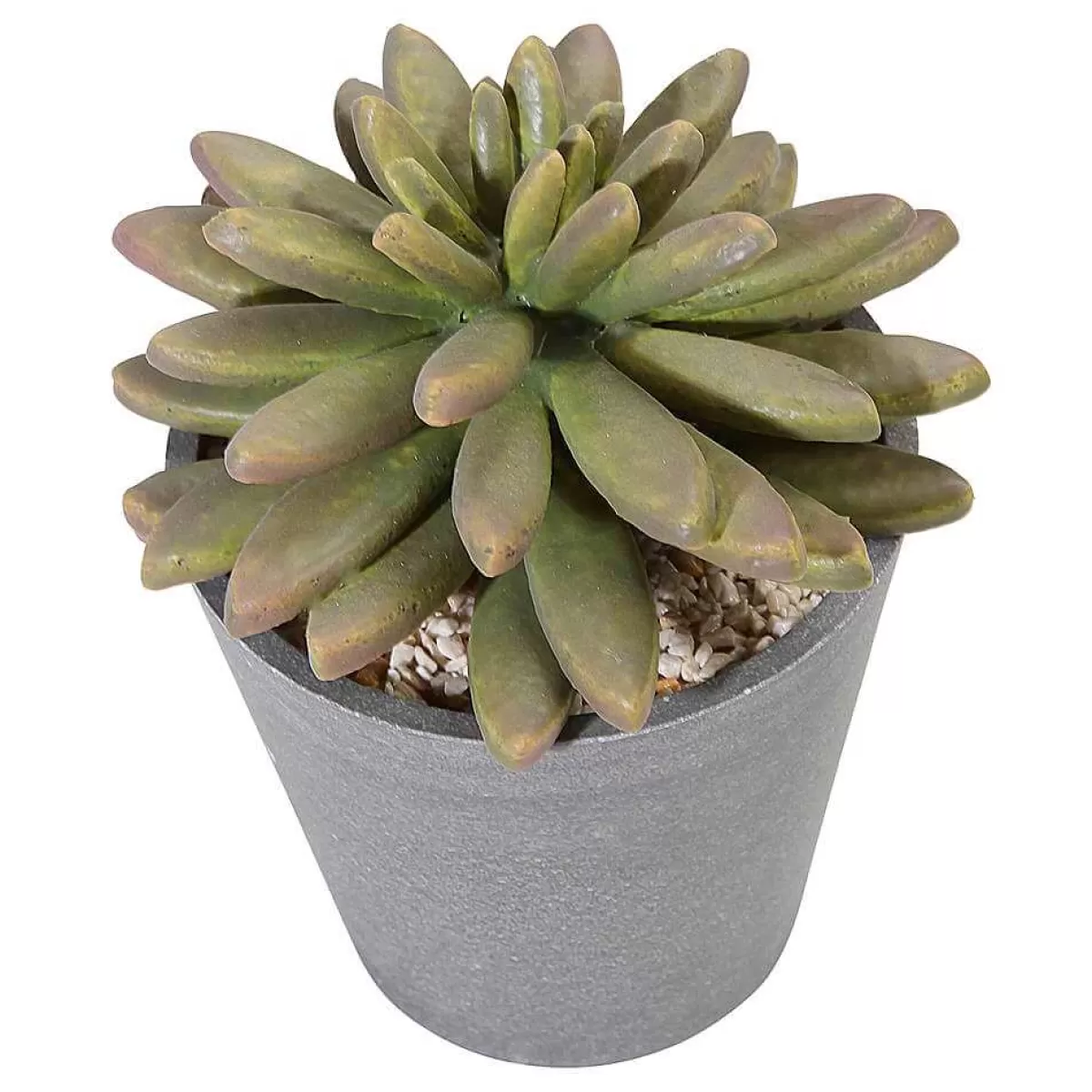 DecoWoerner Succulentes Artificielles 20 Cm