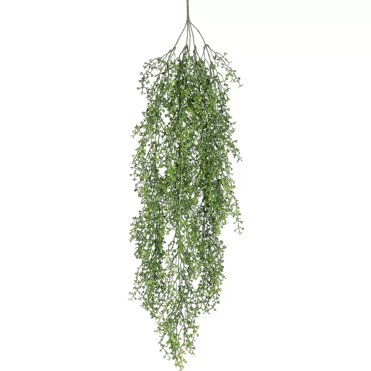 DecoWoerner Suspensions De Plantes Artificielles Senecio, 90 Cm