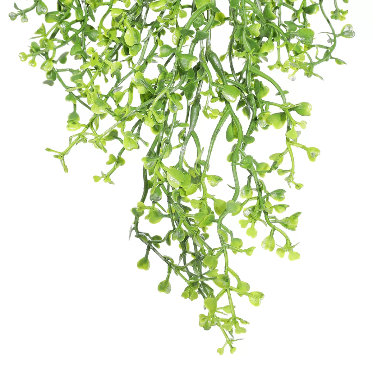 DecoWoerner Suspensions De Plantes Artificielles Senecio, 90 Cm