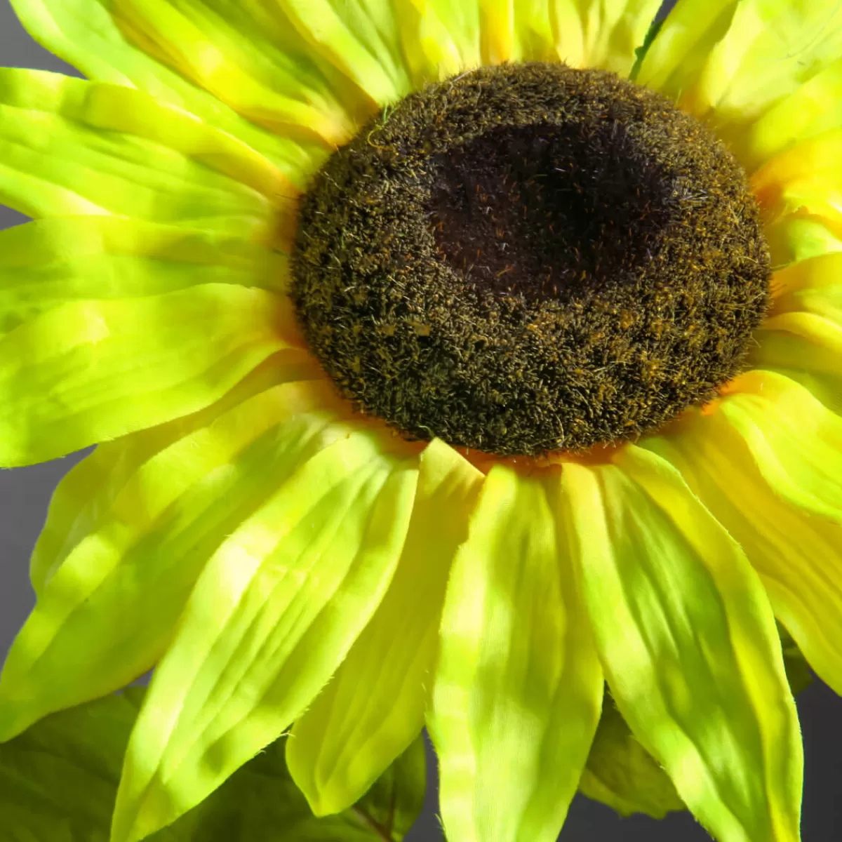 DecoWoerner Tournesol Artificiel, 85 Cm