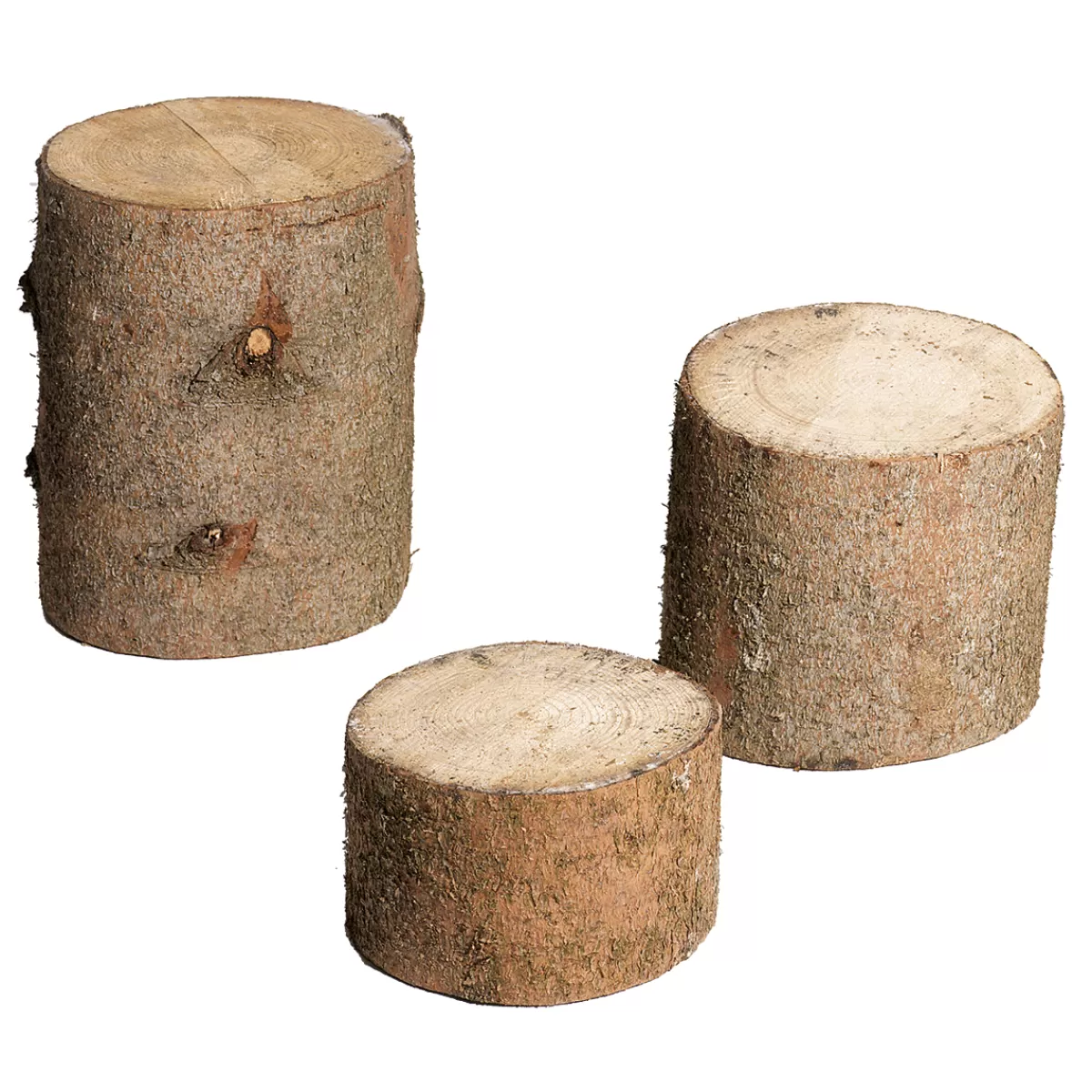 DecoWoerner Troncs En Bois Déco, Lot De 3 él.