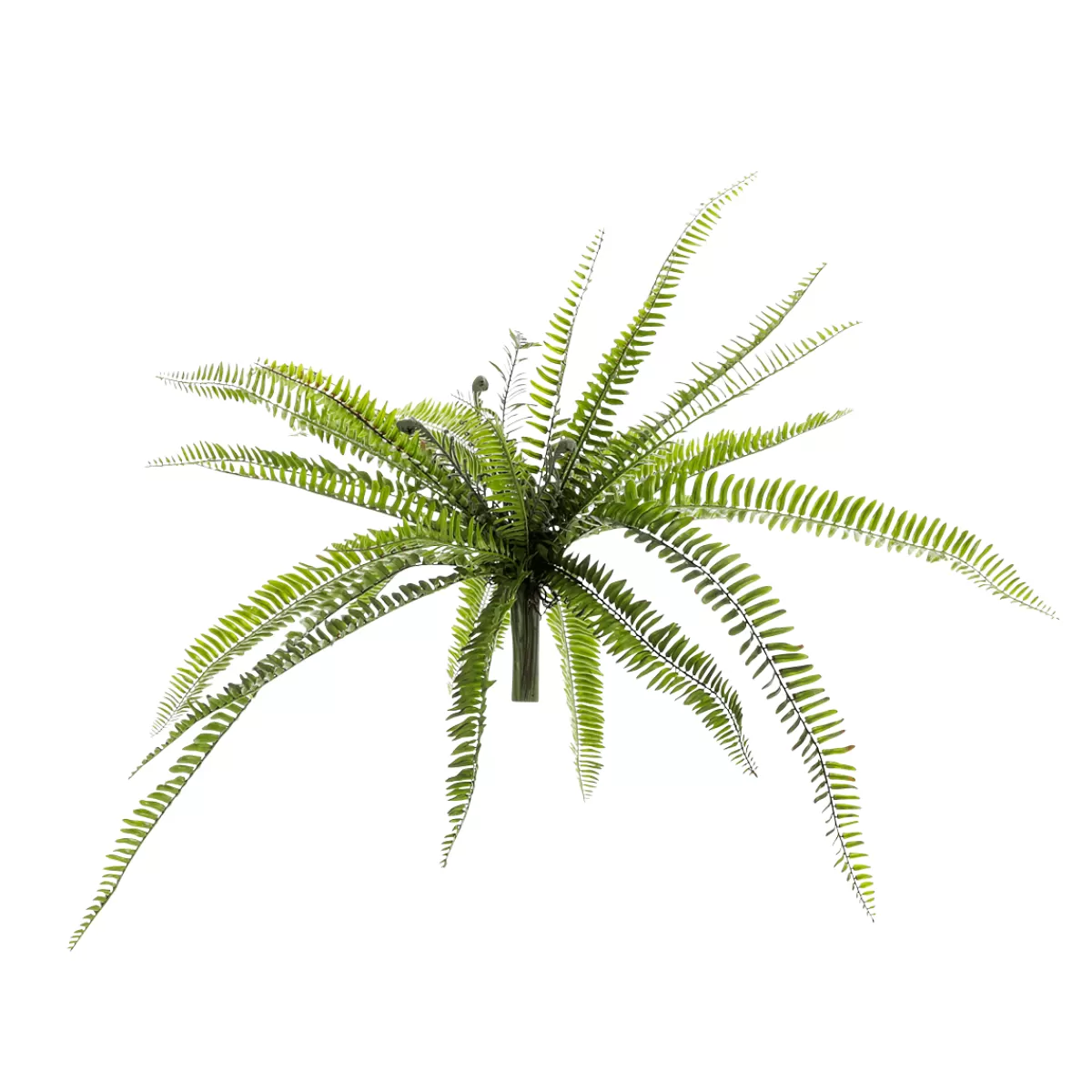 DecoWoerner XXL Fougère - Plante Artificielle Avec Tige D'insertion 100 Cm Ø